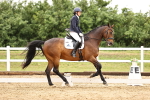 SBM_005008