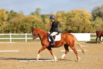 SBM_000872