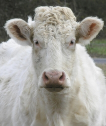 Nature & Animals portfolio