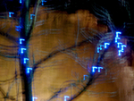 Christmas Lights - 21
