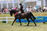 3E7A9550