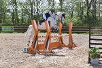 CLASS 6 0.95m Amateur Championship Qualifier portfolio