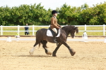SBM_007677