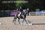BPP_8913