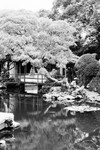 Chinese Garden (Shanghai) #2
