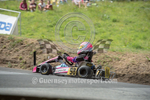 Hillclimb_02-08-2014_Kart-38