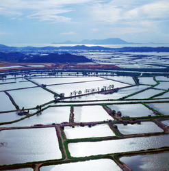 KM-100 Hong Kong, New Territories, Mai Po Marshes - 1978