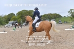 BPP_6828
