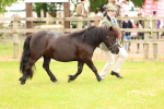 SBM_04337