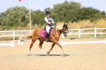 SBM_010401