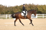 SBM_009566