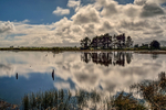 Baker Creek