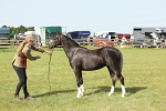 SBM_00790