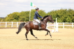 SBM_006577