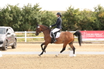 SBM_005176