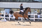 BPP_6803