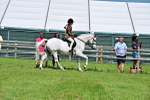 SBM_03737