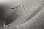 Dunescape 12