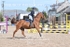 BPP_3776