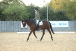 SBM_31126