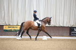 SBM_003877