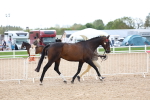 SBM_15267