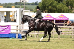 SBM_17914