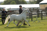 SBM_00635
