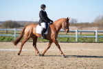SBM_003344