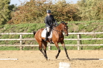 SBM_002438