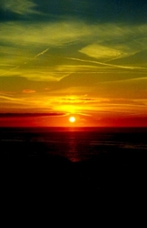 Colour Images portfolio