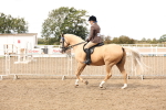 SBM_04230