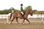 SBM_00674