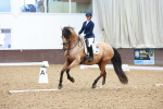 SBM_001516