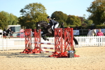 SBM_16656