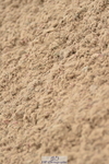 230611A-113202-04806