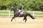 SBM_000351