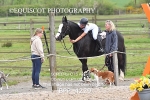 BPP_4229