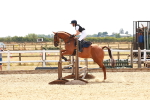 SBM_003975