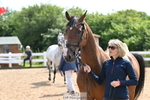 240717A-155800-03222_Trot Up 3pm to 4pm