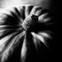 Squash 01