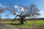 Highway 175, Hopland, California