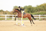 SBM_007844
