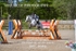 BPP_4646