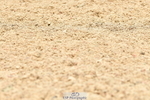 230701A-131243-06246