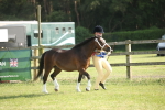 SBM_10403