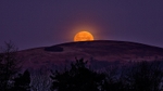 Moon_4227