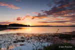 Red sky at sunset, Stoneyford Reservoir, County Antrim, N.Ireland.