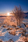 Winter Illuminations - Rannoch Moor