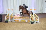 Class 19 - Equiyd 0.85m Amateur Championship Qualifier - First Round (0.85m) portfolio